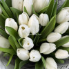 Букет из 25 тюльпанов