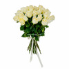 Розы премиум белые (25 шт)